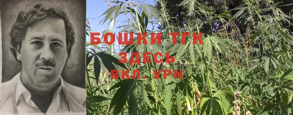 ALPHA PVP Беломорск