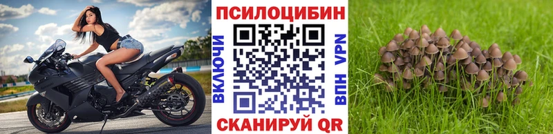 Галлюциногенные грибы MAGIC MUSHROOMS  Кунгур 